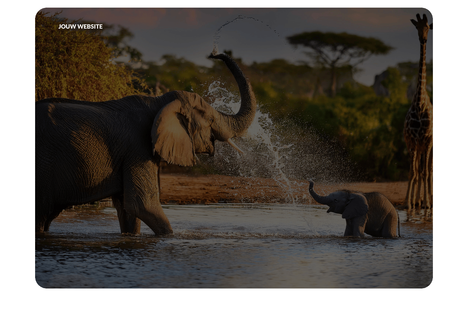 iRaiser Pop-in donatieformulier