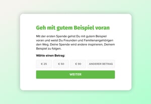 iRaiser - Erste Spende - Benefizveranstaltung - DE
