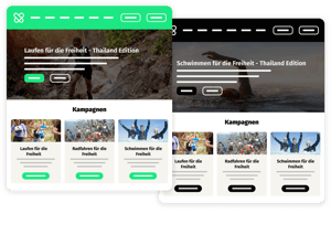 iRaiser - Flex Editor Spendenseite Einstellungen