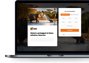 form per la raccolta fondi online pop-in