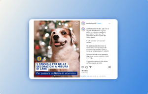 Save the Dogs - online donation forms