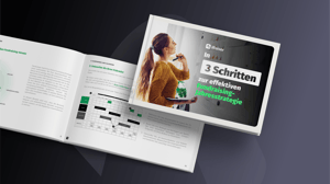 Whitebook Strategy 3 Steps DE