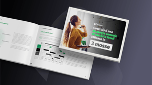 Whitebook Strategy 3 Steps IT